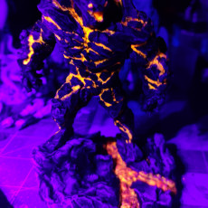 Picture of print of Magma Elemental