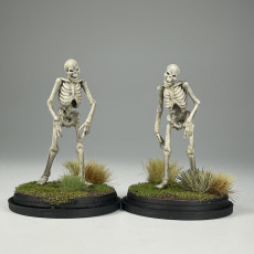 Picture of print of Undead Skeleton Walkers - Tabletop Miniature