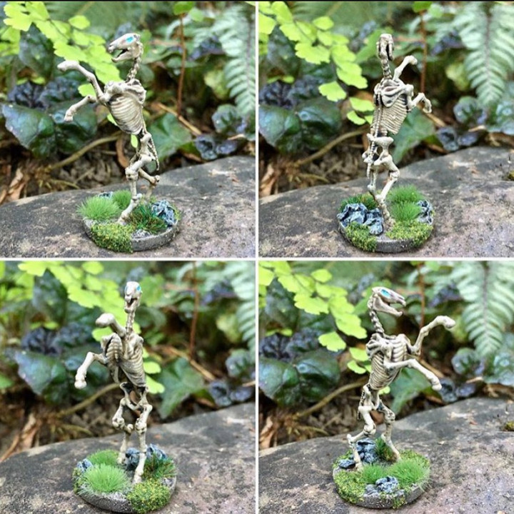 Undead Skeleton Horse - Tabletop Miniature image