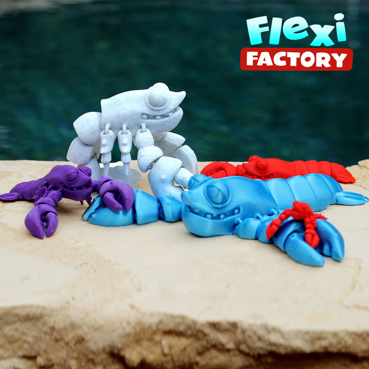 CUTE FLEXI PRINT-IN-PLACE Lobster image
