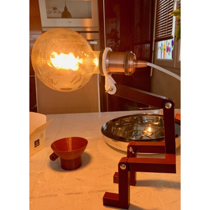 articulated lamp e27 and e14 image