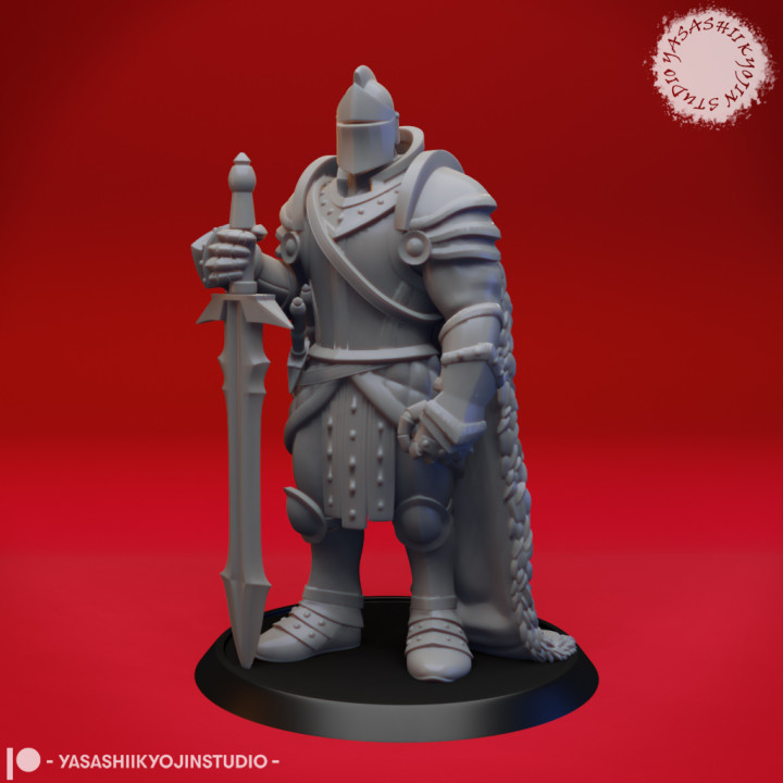 Armored Fighter - Tabletop Miniature image