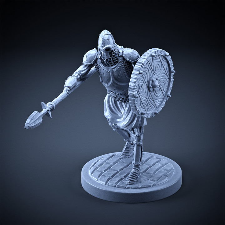 Skeleton - Heavy Infantry - Spear + Round Shield - Attacking Pose image
