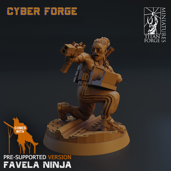 Favela Ninja image