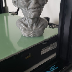 Picture of print of GOLUM BUST Support Free