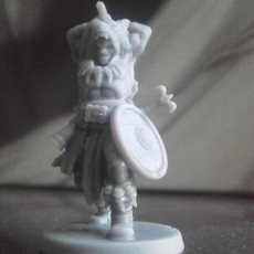 Picture of print of Barbarian Reavers 32mm Pre-Supported