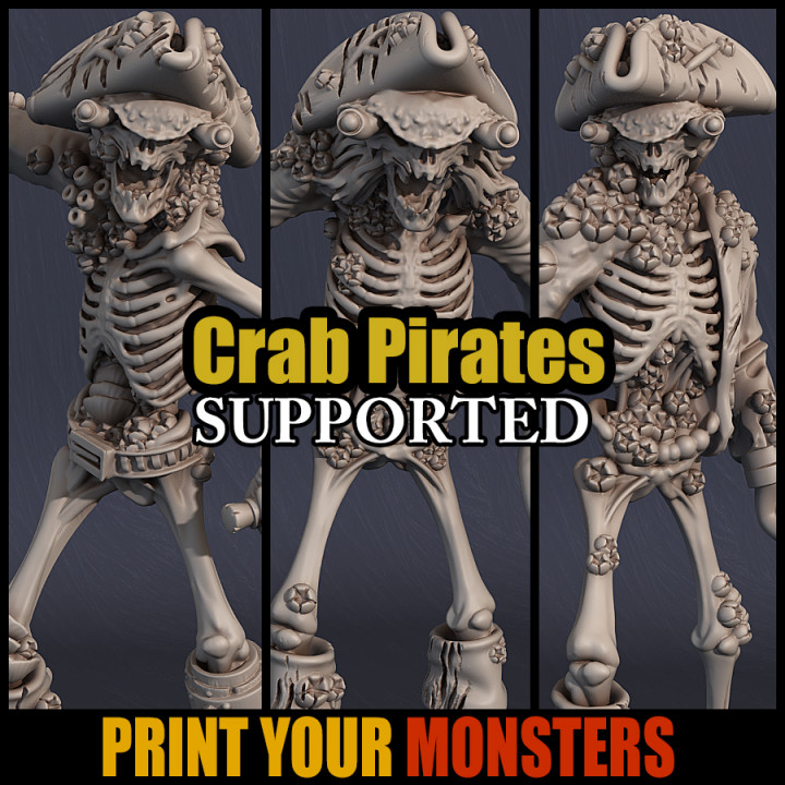 Crab Pirates image