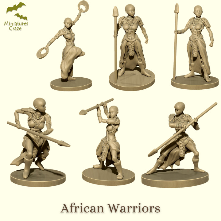 African Warriors image
