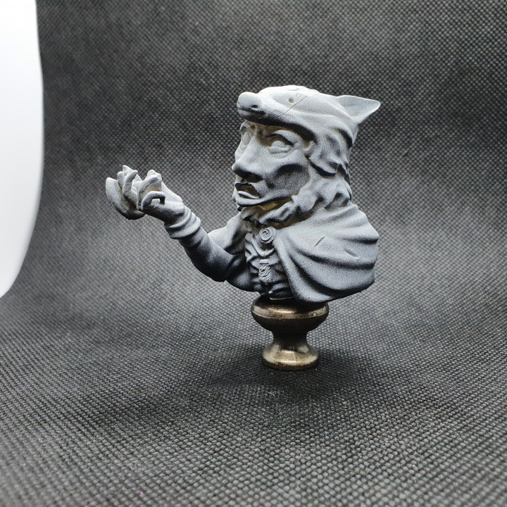 Trevor Hazelbog - The Gnome Wild Magic Sorcerer image