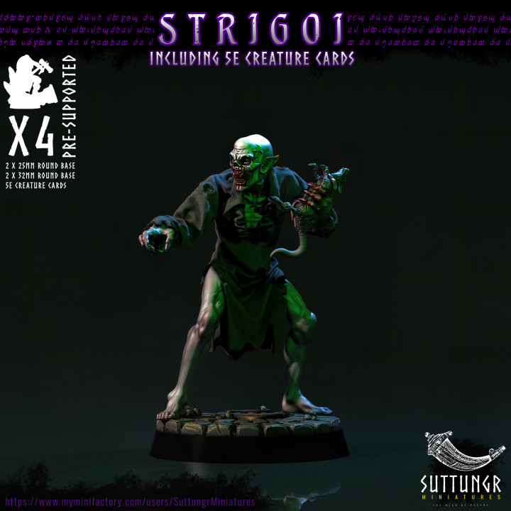 Vampire Strigoi - Pre-Supported image