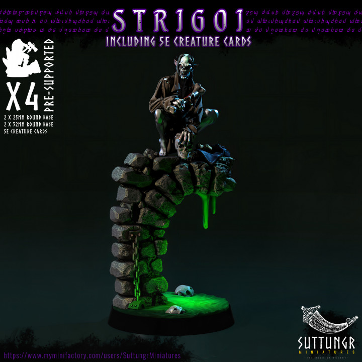 Vampire Strigoi - Pre-Supported image