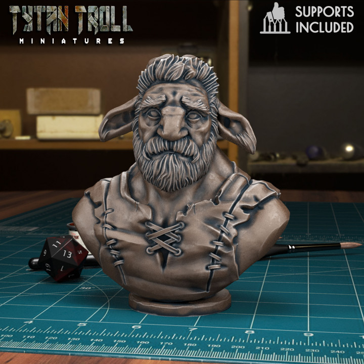 Firbolg Bust [Pre-Supported] image