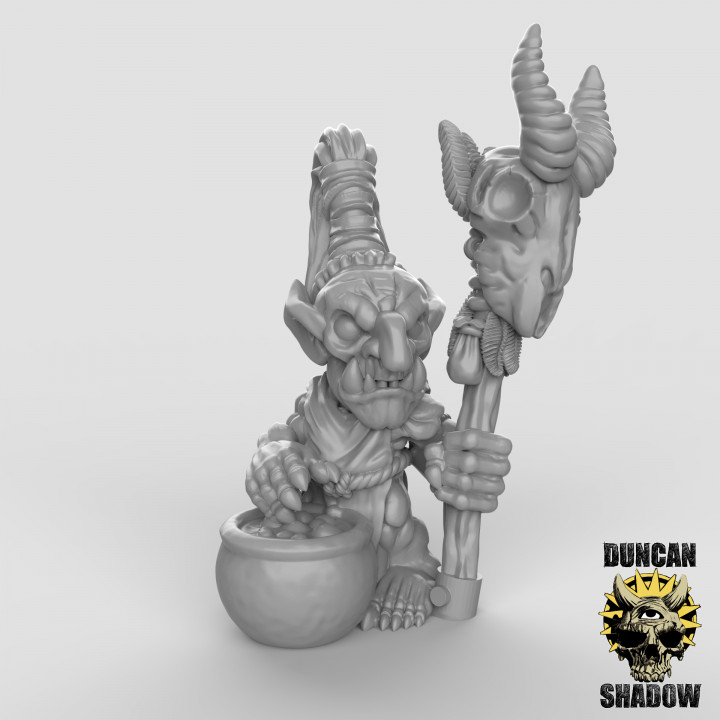 Goblin Shaman (pre supported) image