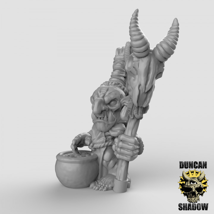 Goblin Shaman (pre supported) image