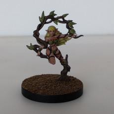 Picture of print of Alura - Alura - Forest Dryad - 32mm - DnD -