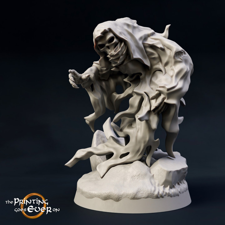 Undead from the Barrow Valley - Presupported - Modular image