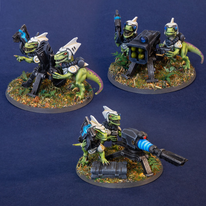 Raygun Raptors Fire Support Squad image