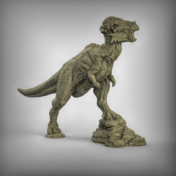 3D Printable Pachycephalosaurus by Duncan Shadow