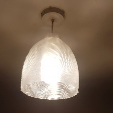 Picture of print of Lampshade SP-14