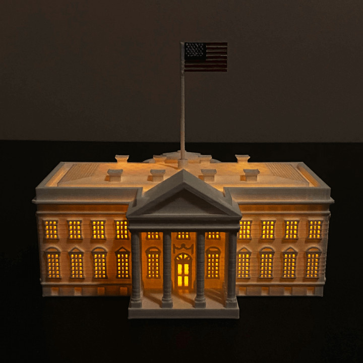 The White House (Lamp) - USA image