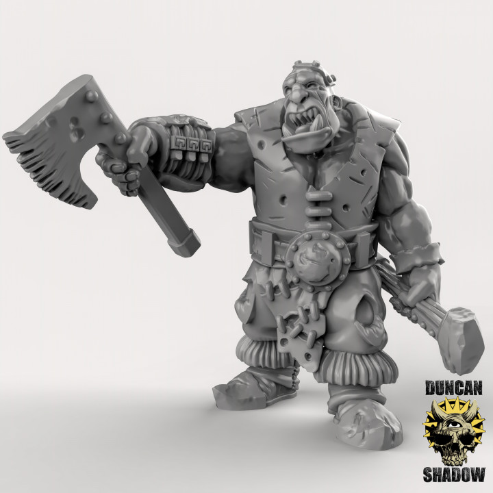 Ogres (Pre Supported) image