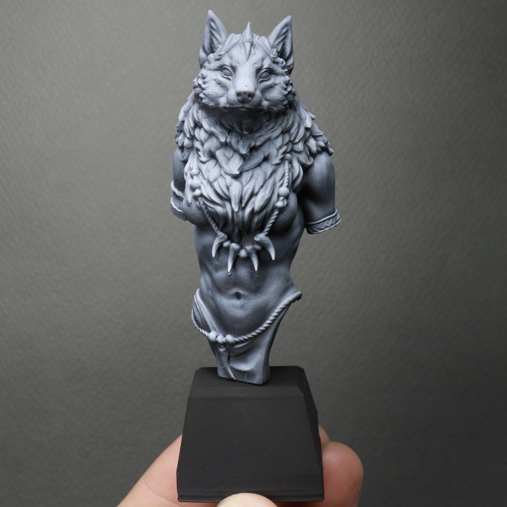 Oleana the Werewolf Queen bust pre-supported image