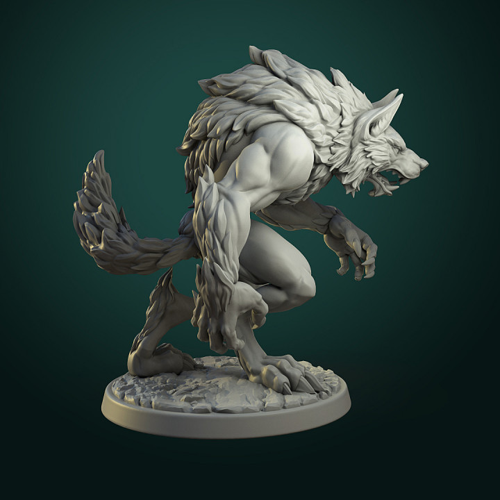Common Werewolf (2 variants) pre-supported image