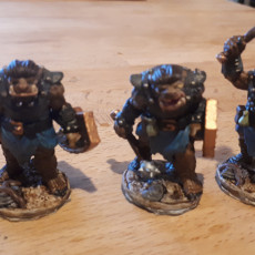 Picture of print of Bugbears (pre supported)