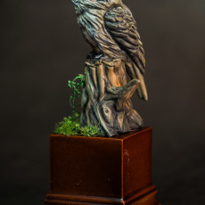 Picture of print of Tawny Frogmouth