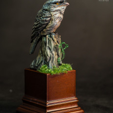 Picture of print of Tawny Frogmouth