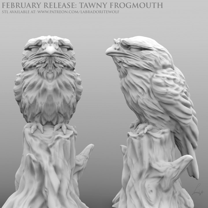 Tawny Frogmouth image