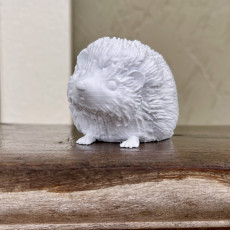 Picture of print of Hedgehog
