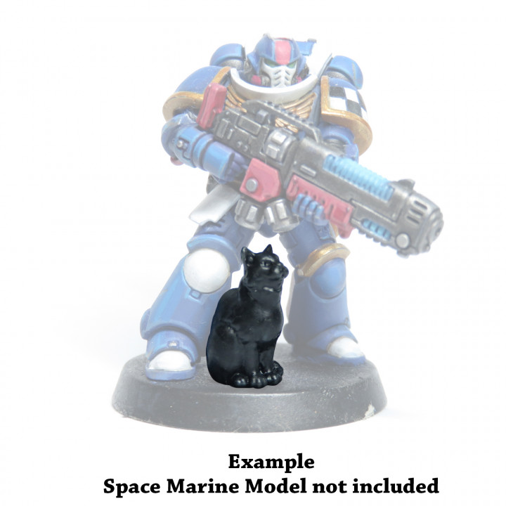 Companion Cats pack image