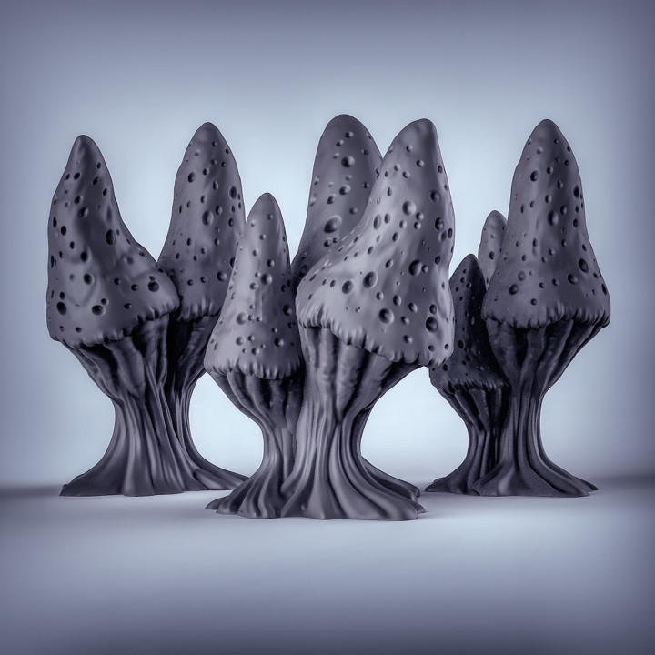 Mushroom terrain image
