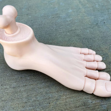 Picture of print of Flexi Print-In-Place Foot