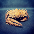 Giant Crab / Sea Monster print image