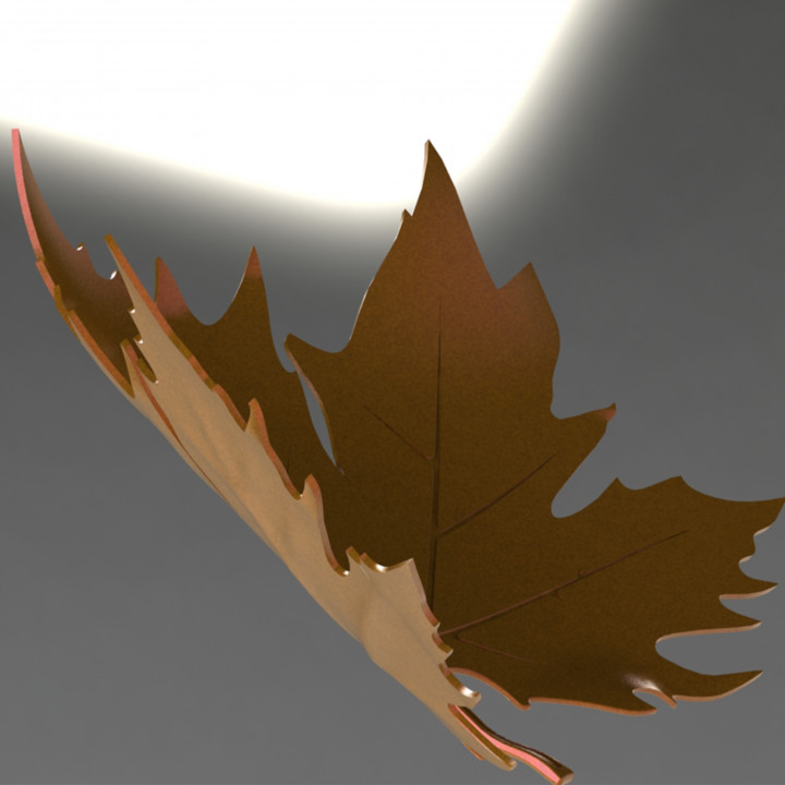 palne tree leaf image