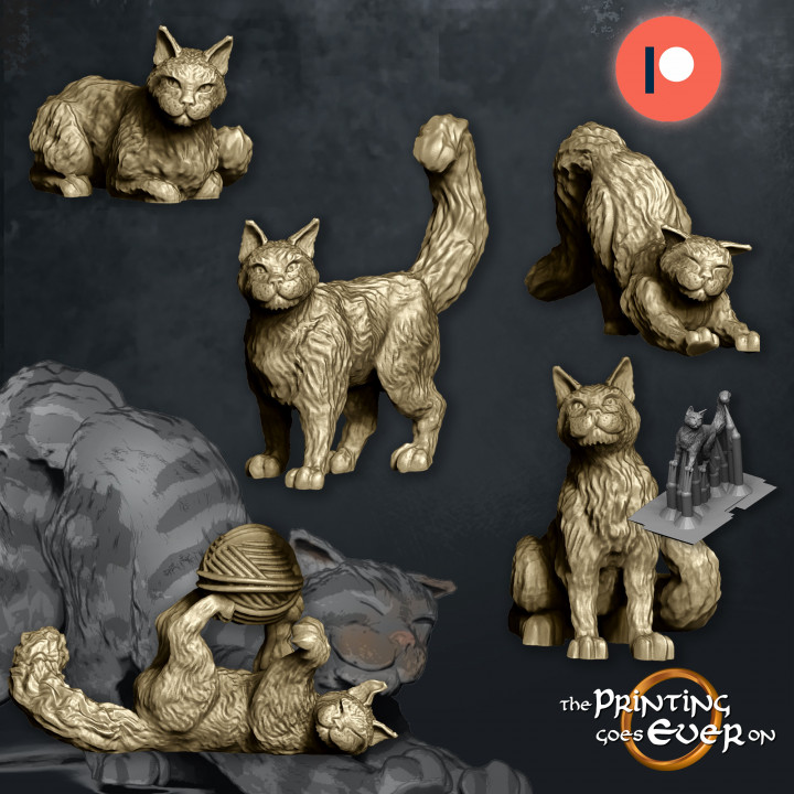 House Cats - Presupported - 5 Poses image