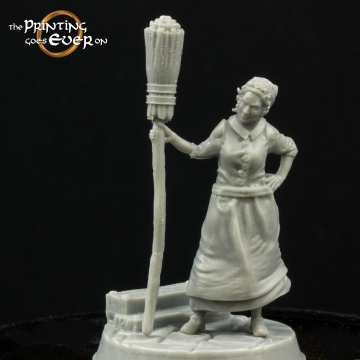 House Keeper - Presupported - 2 Variants image