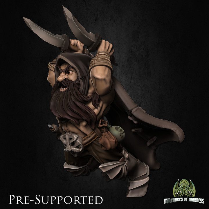 Kogan The Raider [PRE-SUPPORTED] Dwarf Rogue image
