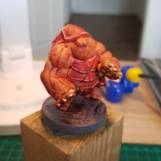 Picture of print of Tortle Brawler Miniature - Pre-Supported