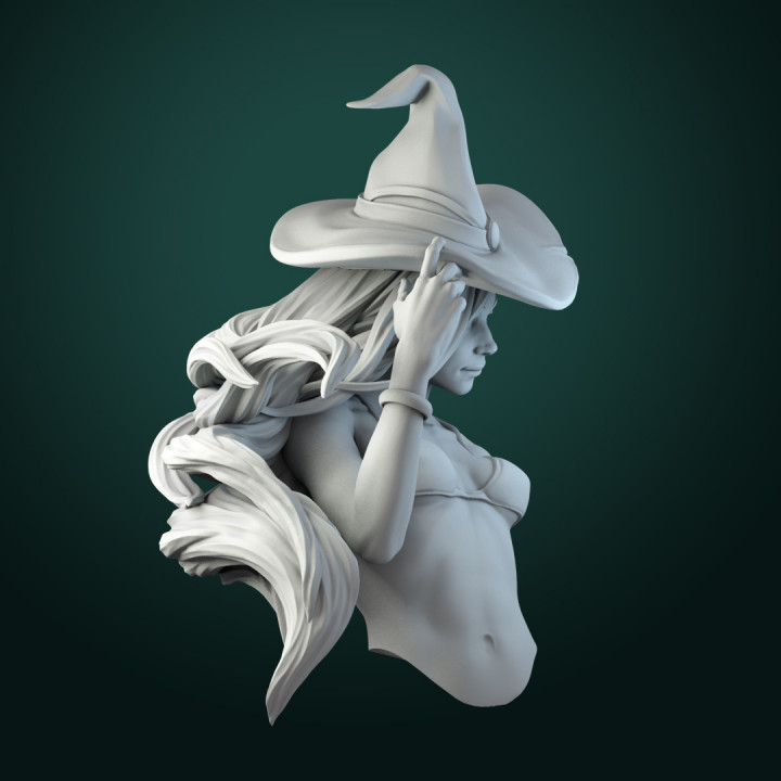 Anita the Young Witch bust pre-supported image