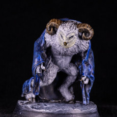 Picture of print of Auril - First Form - Tabletop Miniature