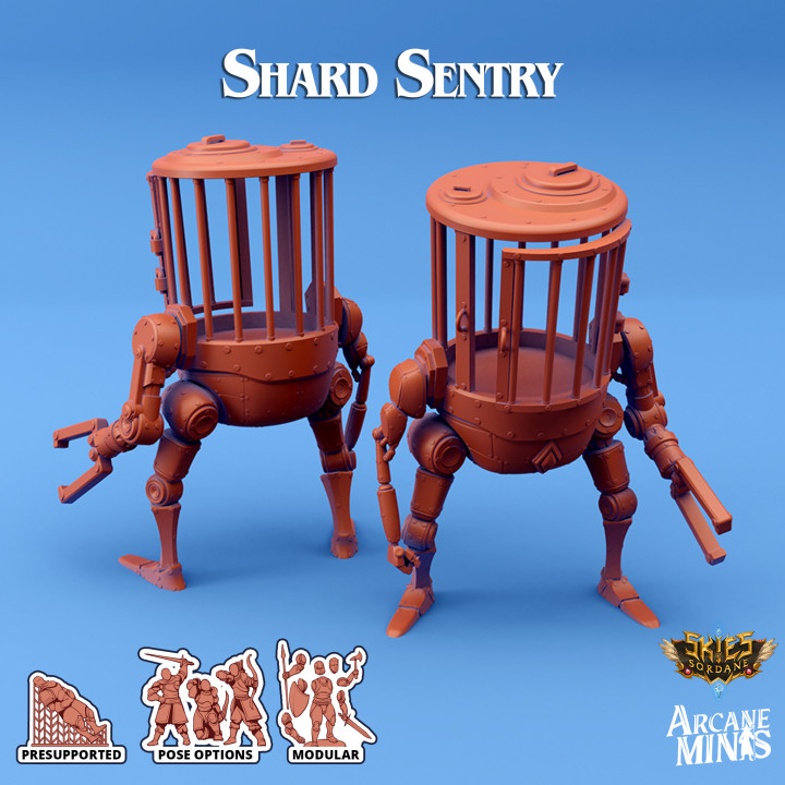 Shard Sentry image