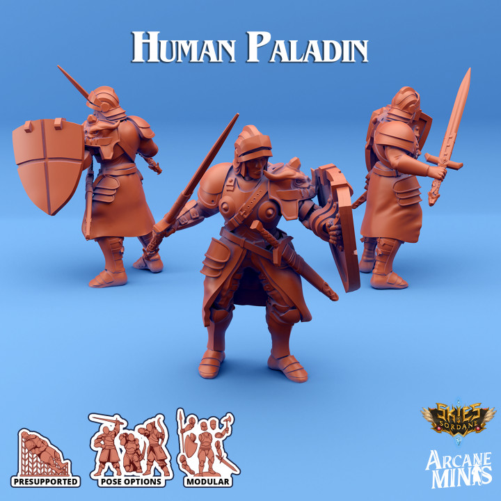 Human Paladin - Arrodan Syndicate image