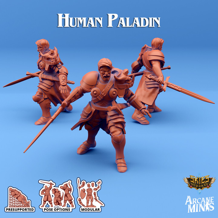 Human Paladin - Arrodan Syndicate image