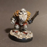 Dwarf Soldier Set 5 [PRE-SUPPORTED] print image