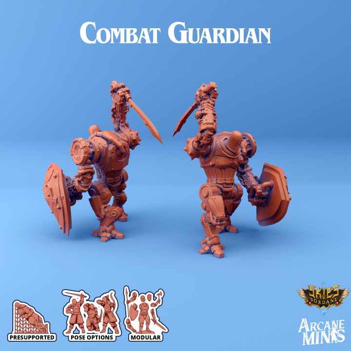 Shard Guardian - Combat image