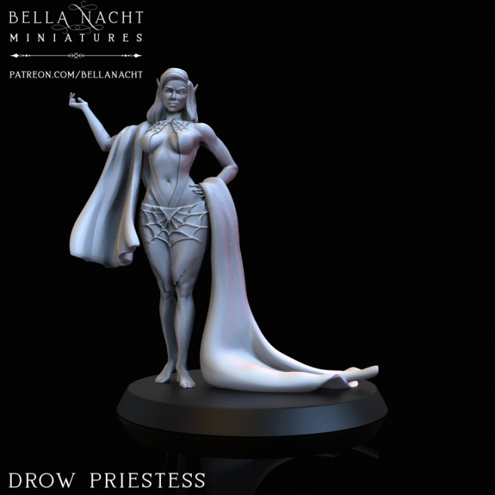 Drow Priestess - 2 Versions image