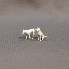 Picture of print of German shepherd dog 3D print model